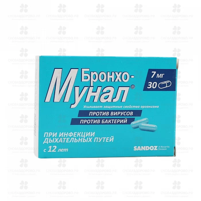 Бронхо-мунал капсулы 7мг №30 ✅ 16876/06154 | Сноваздорово.рф
