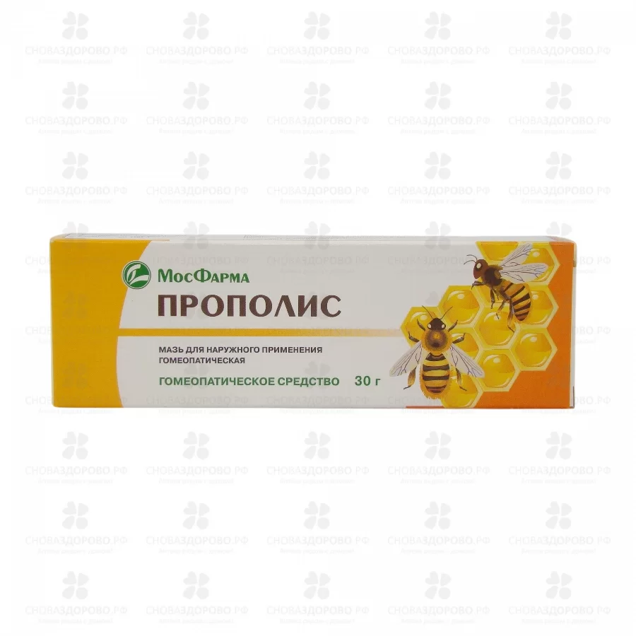 Прополиса мазь для наружного применения гомеопатическая 30г туба ✅ 04374/06300 | Сноваздорово.рф