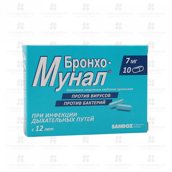 Бронхо-мунал капсулы 7мг №10 ✅ 06379/06154 | Сноваздорово.рф